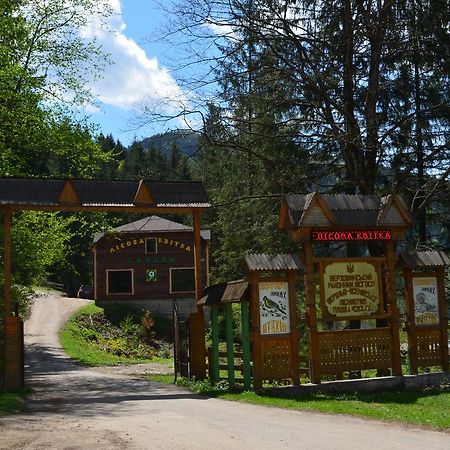 Sadyba Lisova Kvitka Verkhniy Yasenov Exteriör bild